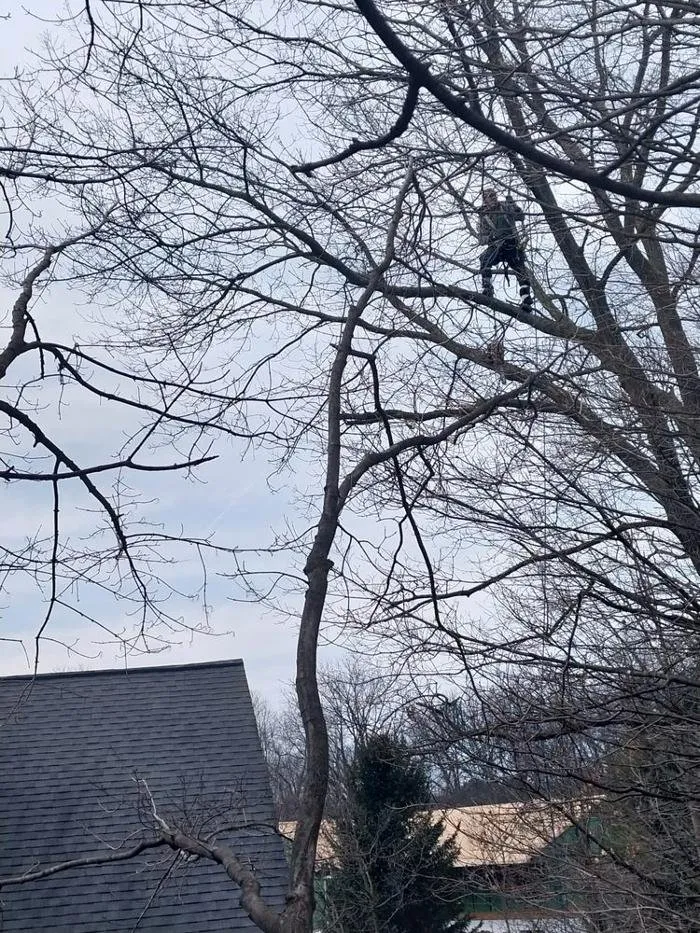 Professional landscape design in Imlay City, MI by Laur's Tree Care and Home Improvement