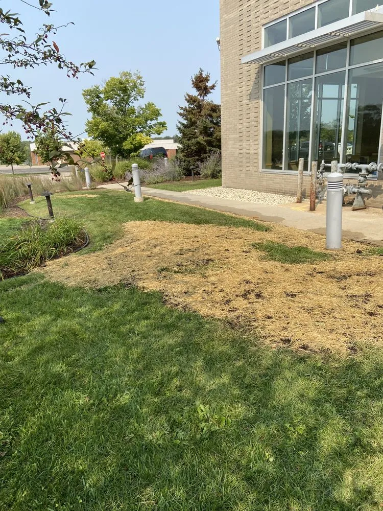 Trusted yard cleanup service for outdoor upgrades across Beloit, WI - Lavariega's Landscaping