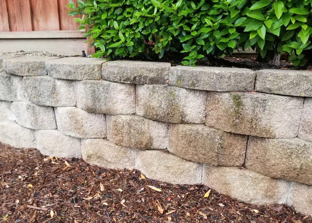 Top-rated lawn mowing service in Munford, TN by Lavelle’s Lawn Care & Landscaping