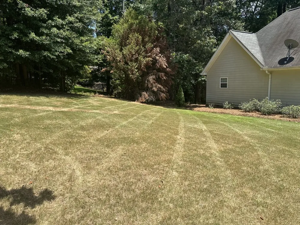 Expert yard maintenance experts serving McDonough, GA - Lavendar Landscaping