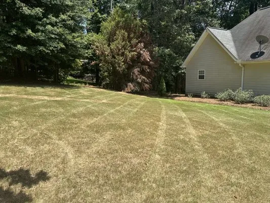 Lavendar Landscaping Logo