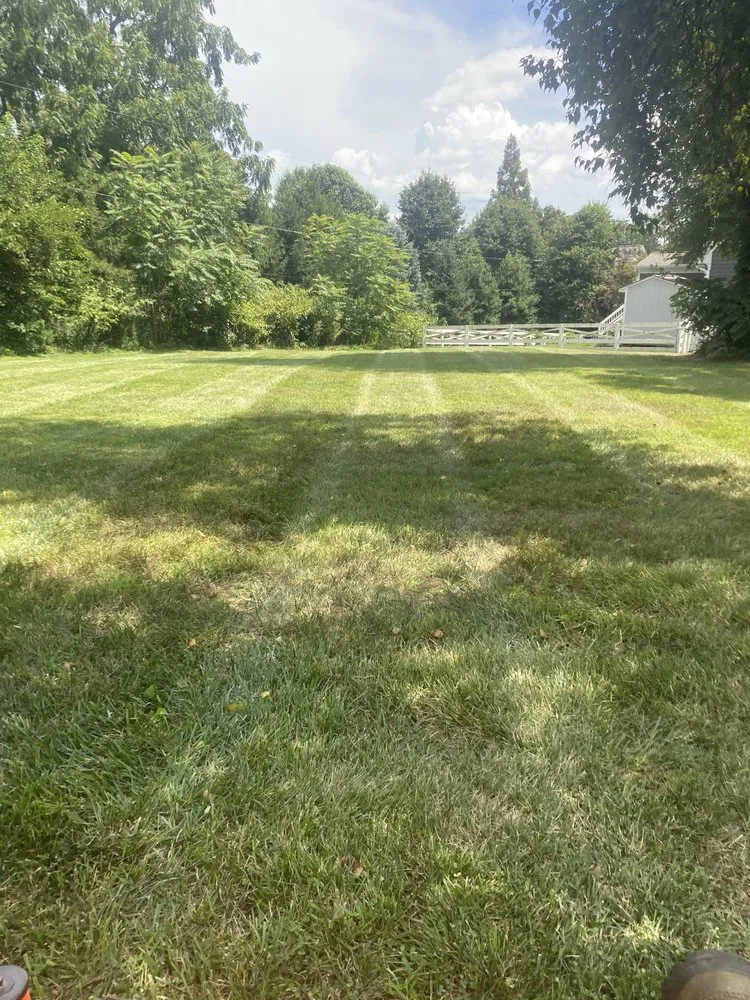 Top-rated yard maintenance experts serving Winchester, VA - Lavender Landscaping