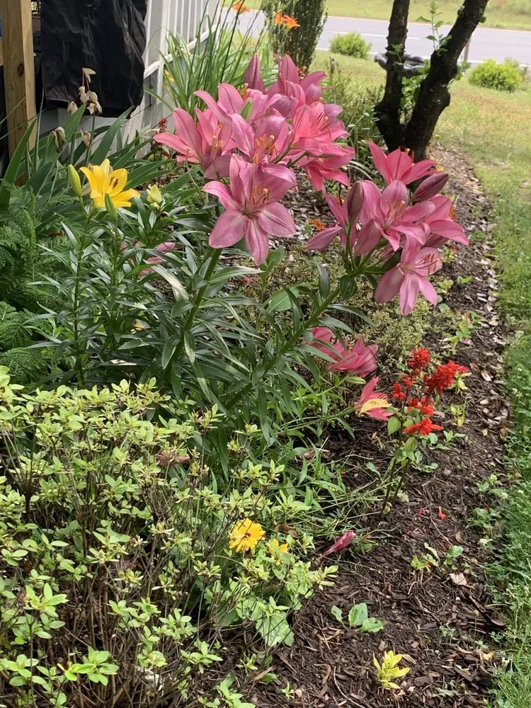 Reliable lawn care service with custom design across Winchester, VA - Lavender Landscaping