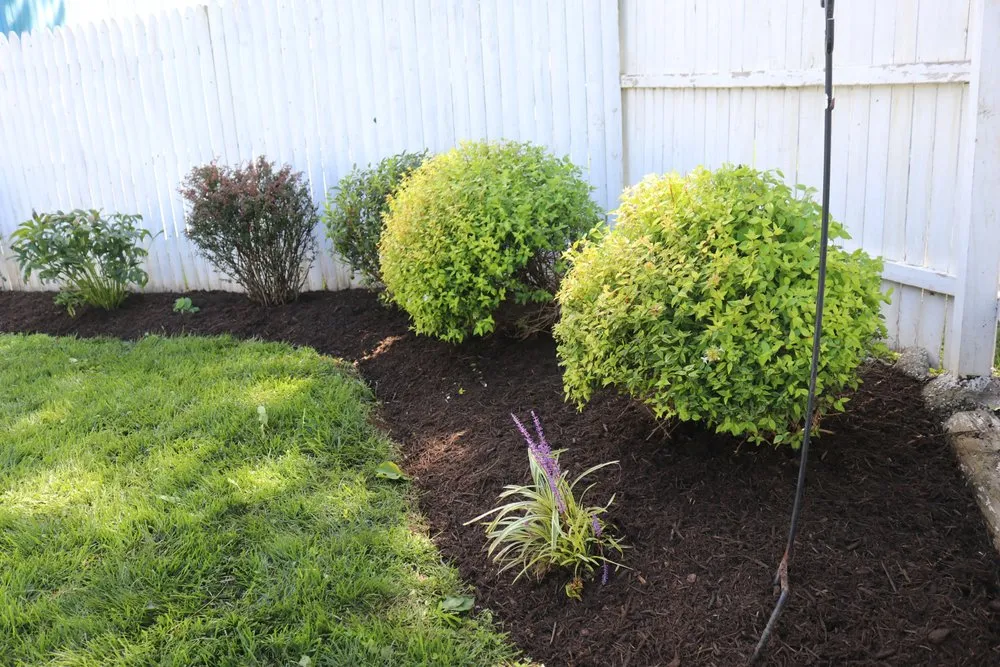 Expert yard maintenance for outdoor upgrades in Winchester, VA by Lavender Landscaping