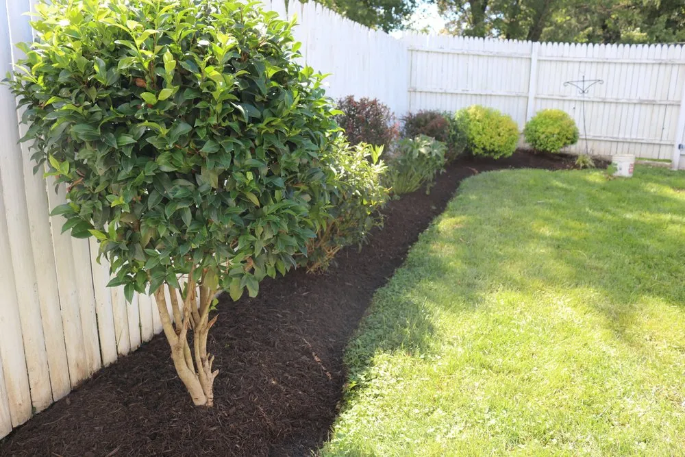 Expert residential landscaping in Winchester, VA - Lavender Landscaping