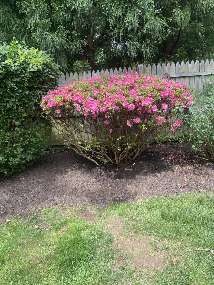 Reliable landscaping services near you across Winchester, VA - Lavender Landscaping