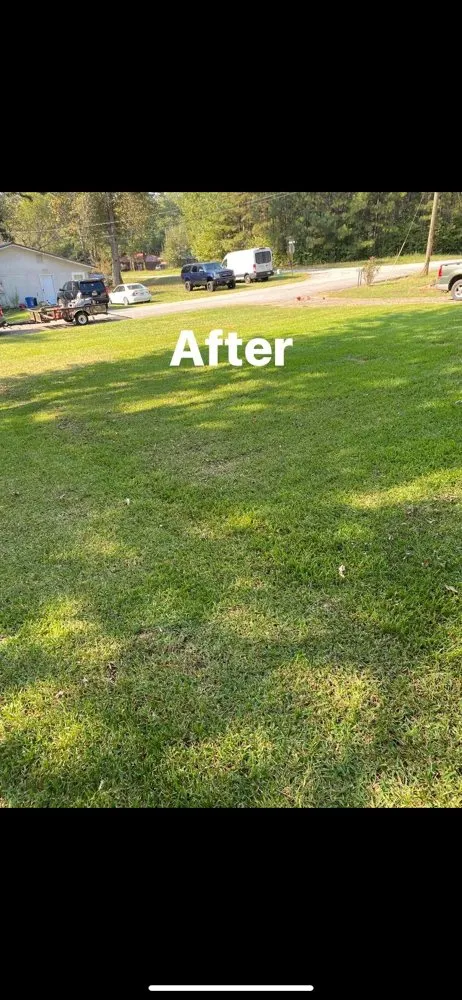 Reliable yard maintenance in Whitesburg, GA - Lavender Lawn Care