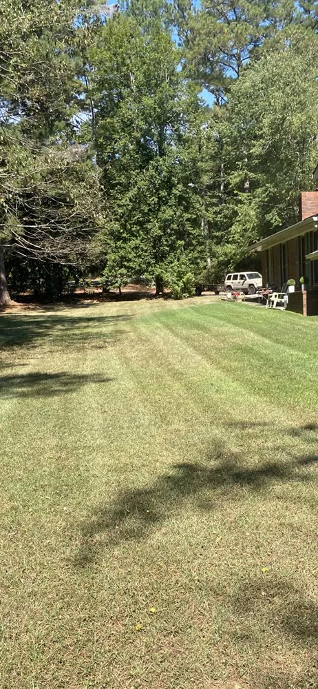 Top-rated outdoor landscaping experts serving Whitesburg, GA - Lavender Lawn Care