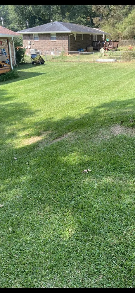 Reliable landscaping services near you across Whitesburg, GA - Lavender Lawn Care