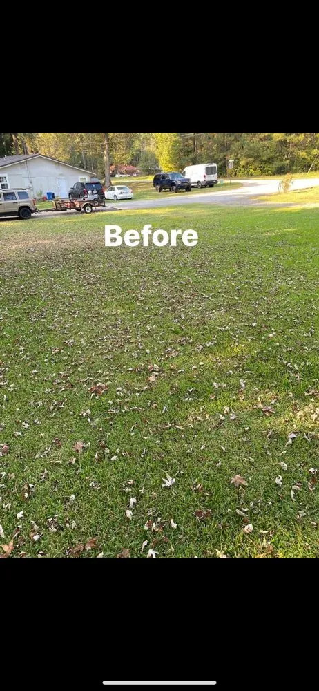 Expert landscape installation in Whitesburg, GA - Lavender Lawn Care