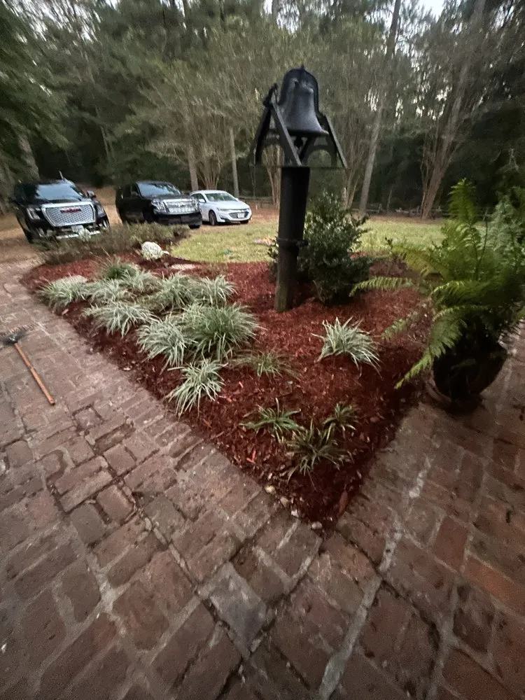 Reliable lawn care service in Alexandria, LA - Lavespere Landscaping