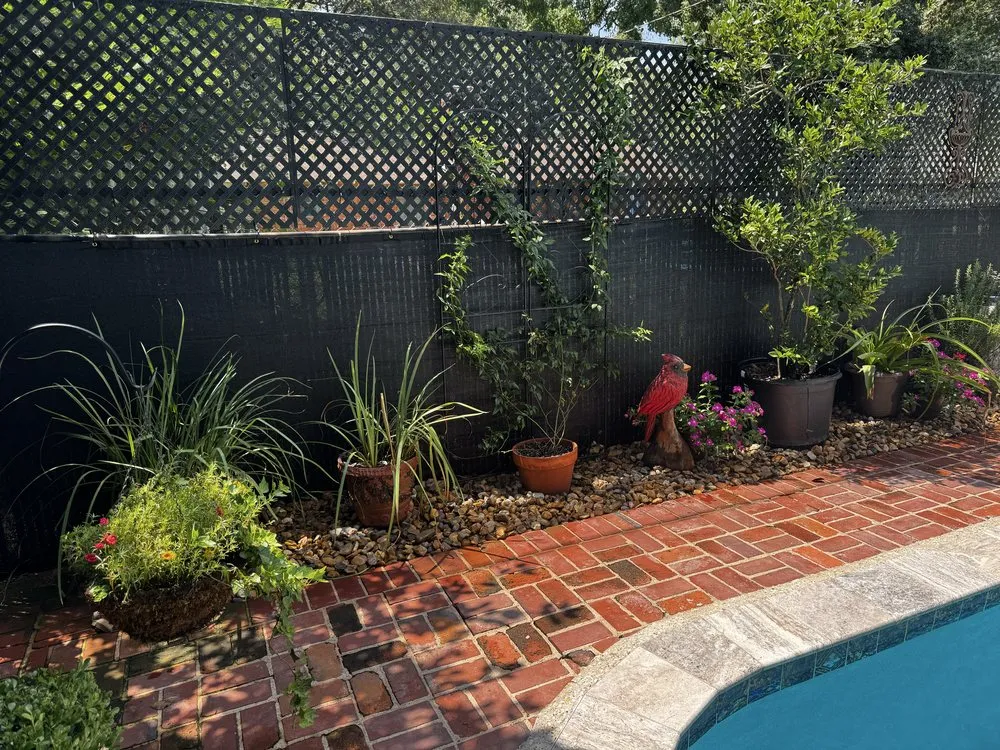 Trusted yard cleanup service experts serving Alexandria, LA - Lavespere Landscaping