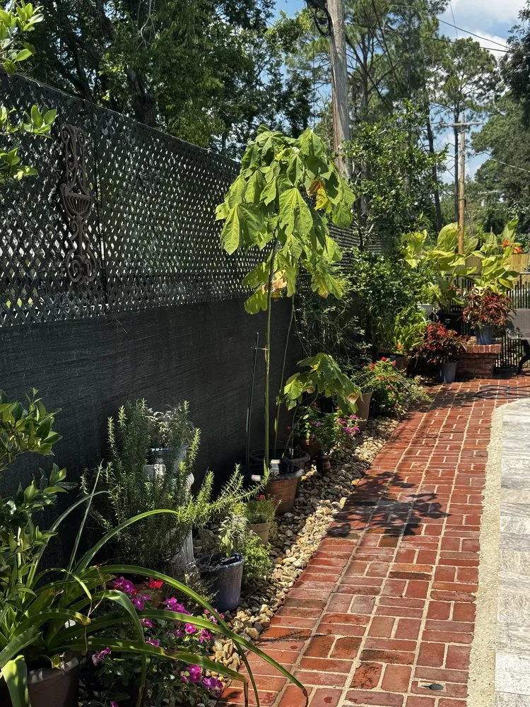 Reliable landscape design in Alexandria, LA by Lavespere Landscaping