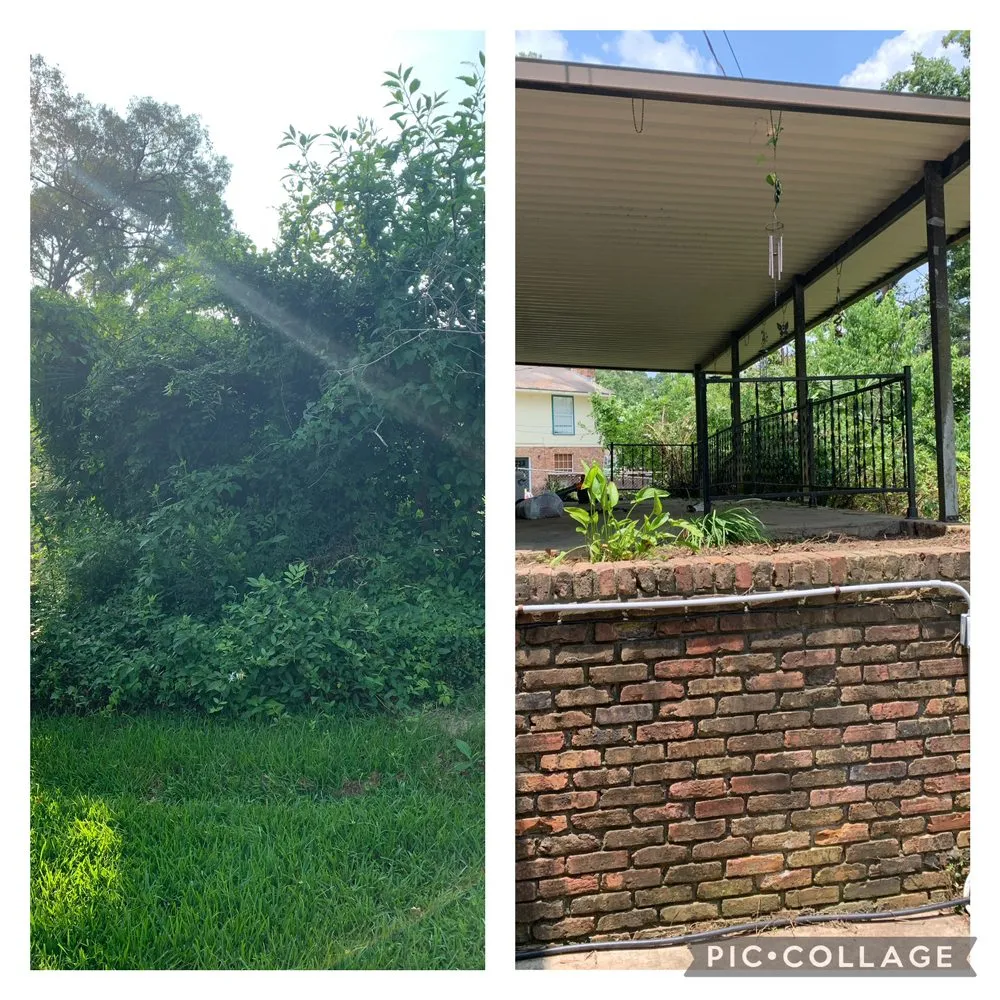 Local residential landscaping in Alexandria, LA - Lavespere Landscaping