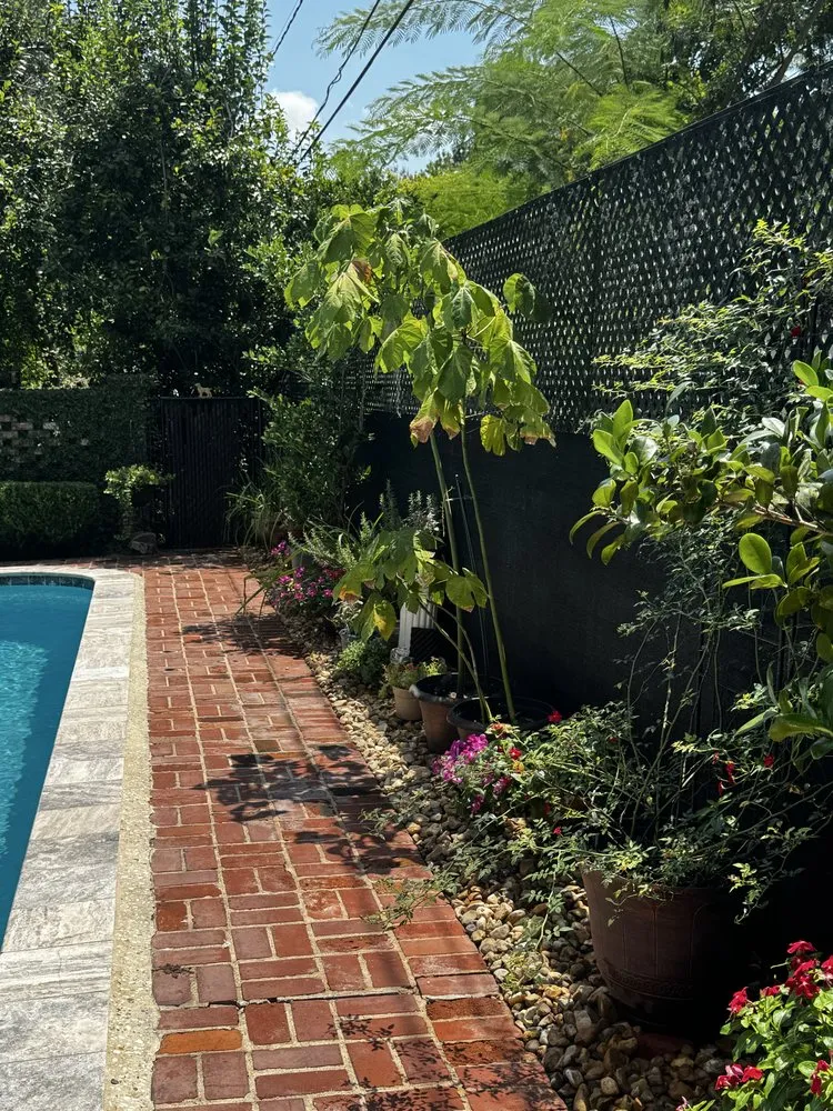 Expert residential landscaping for outdoor upgrades across Alexandria, LA - Lavespere Landscaping