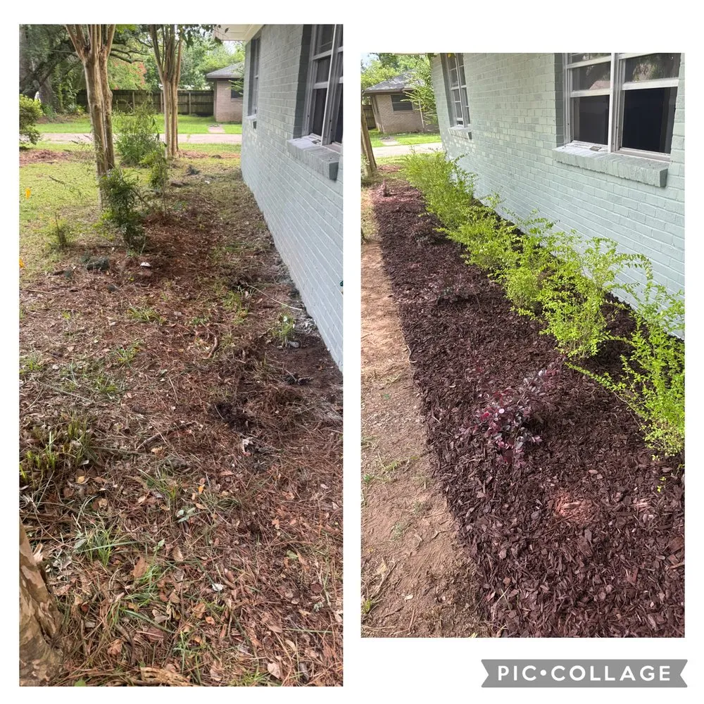 Local yard cleanup service with custom design in Alexandria, LA by Lavespere Landscaping