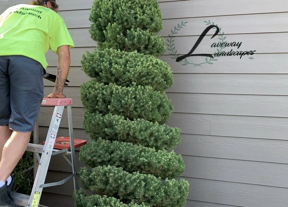 Reliable garden landscaping in Lewiston, ID by Laveway Landscapes