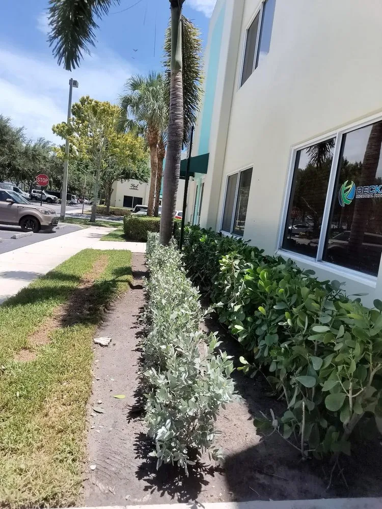 Top-rated landscape design near you across Lake Worth, FL - Lavinscape Trees & Landscaping