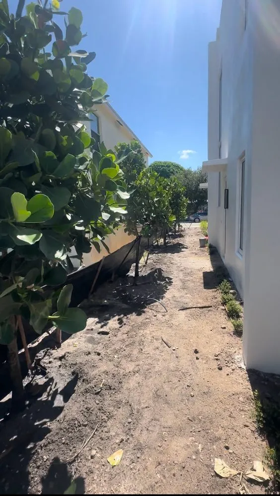 Affordable landscape design experts serving Lake Worth, FL - Lavinscape Trees & Landscaping