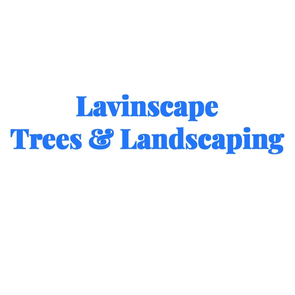 Professional outdoor landscaping for homes in Lake Worth, FL by Lavinscape Trees & Landscaping