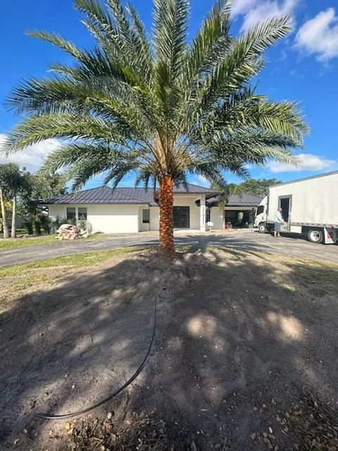 Top-rated garden landscaping for residential properties in Lake Worth, FL by Lavinscape Trees & Landscaping