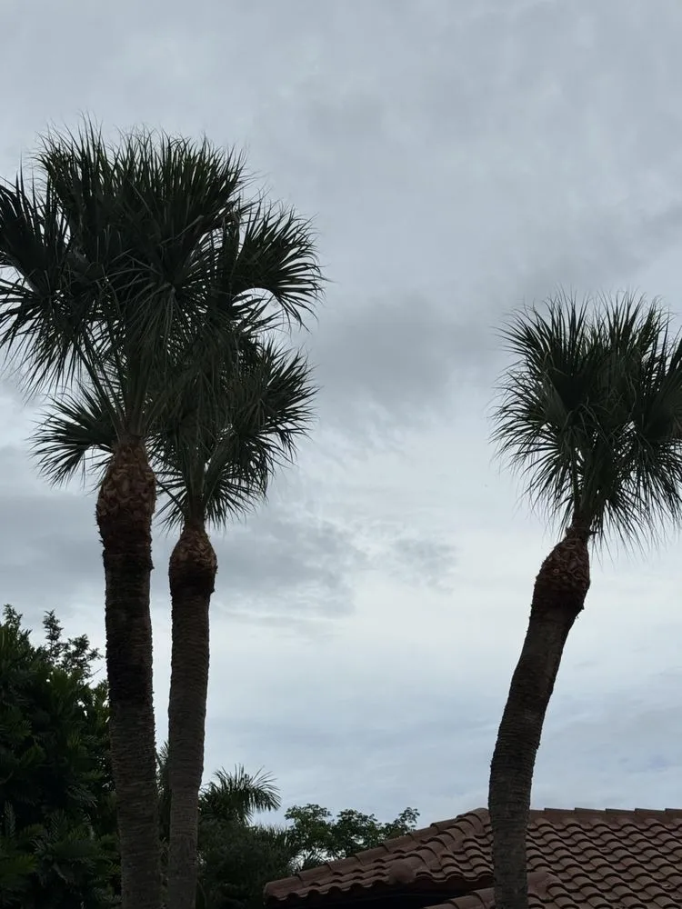 Expert landscape installation for residential properties in Lake Worth, FL by Lavinscape Trees & Landscaping