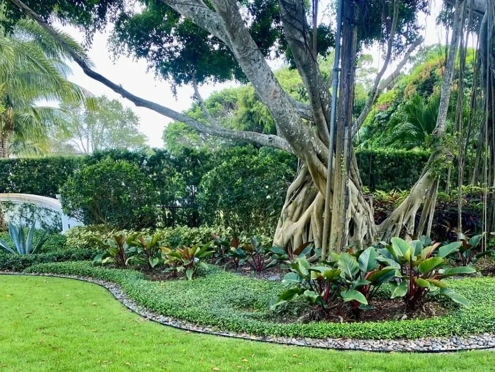 Trusted landscape installation experts serving Lake Worth, FL - Lavinscape Trees & Landscaping