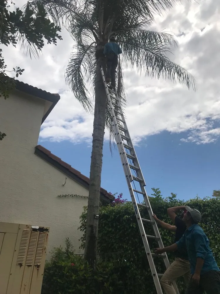 Reliable residential landscaping near you across Lake Worth, FL - Lavinscape Trees & Landscaping