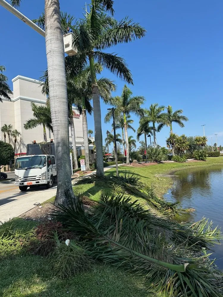 Affordable landscaping services experts serving Lake Worth, FL - Lavinscape Trees & Landscaping