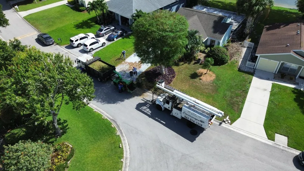Reliable yard cleanup service in Lake Worth, FL by Lavinscape Trees & Landscaping