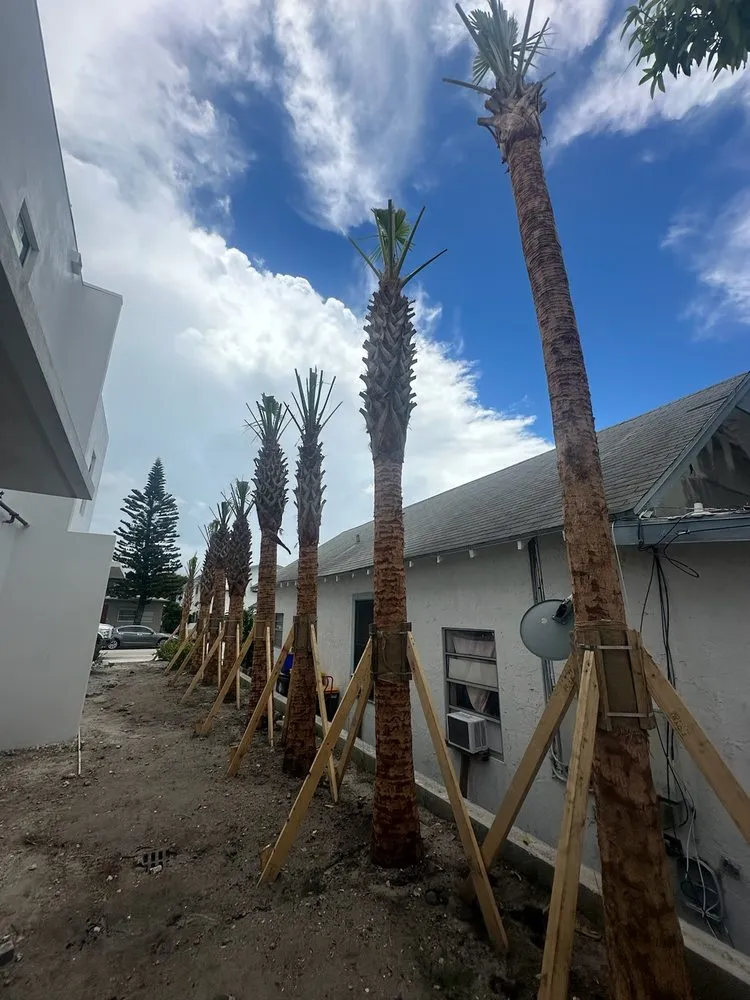 Affordable lawn care service in Lake Worth, FL - Lavinscape Trees & Landscaping