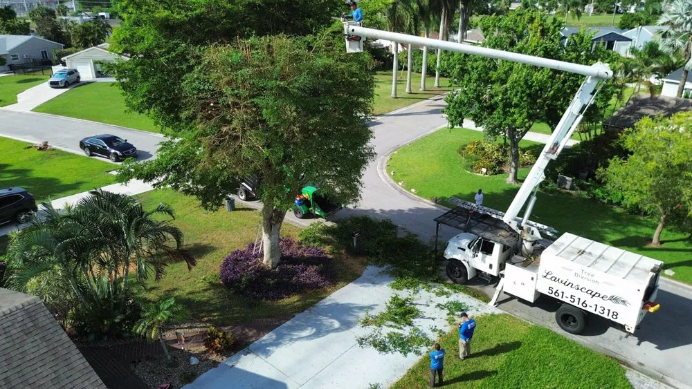 Trusted yard cleanup service experts serving Lake Worth, FL - Lavinscape Trees & Landscaping