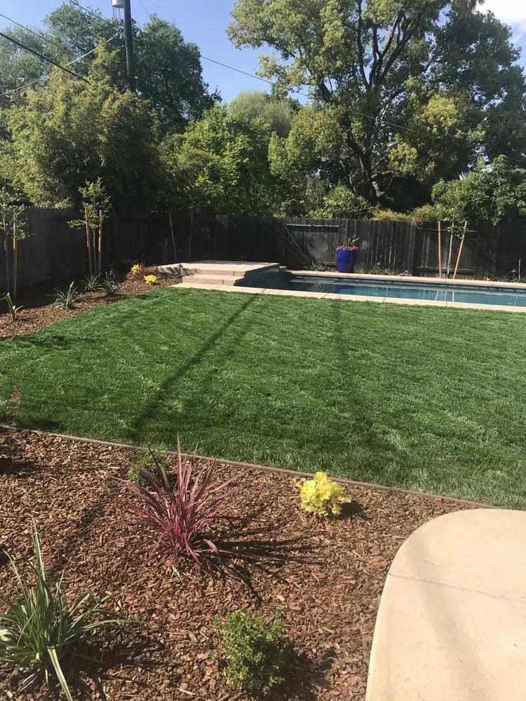 Professional landscape installation for outdoor upgrades in Rocklin, CA by Lavish Gardens Landscape