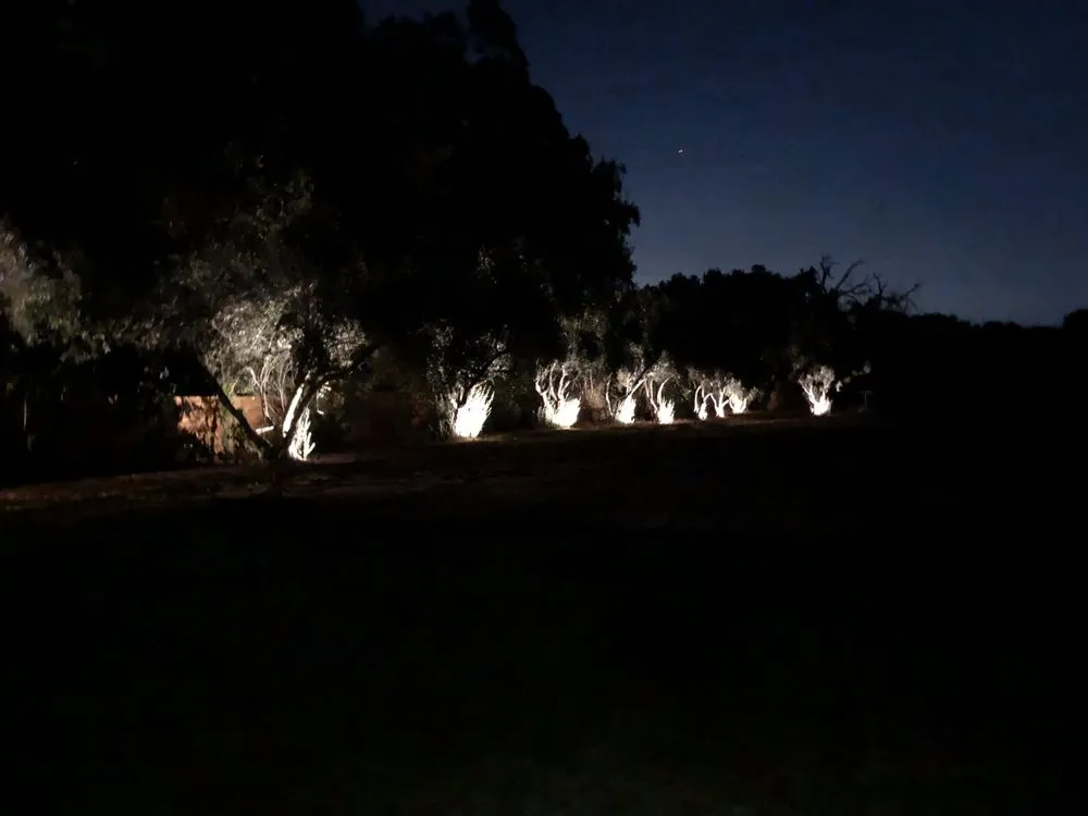 Custom garden landscaping in Rocklin, CA by Lavish Gardens Landscape