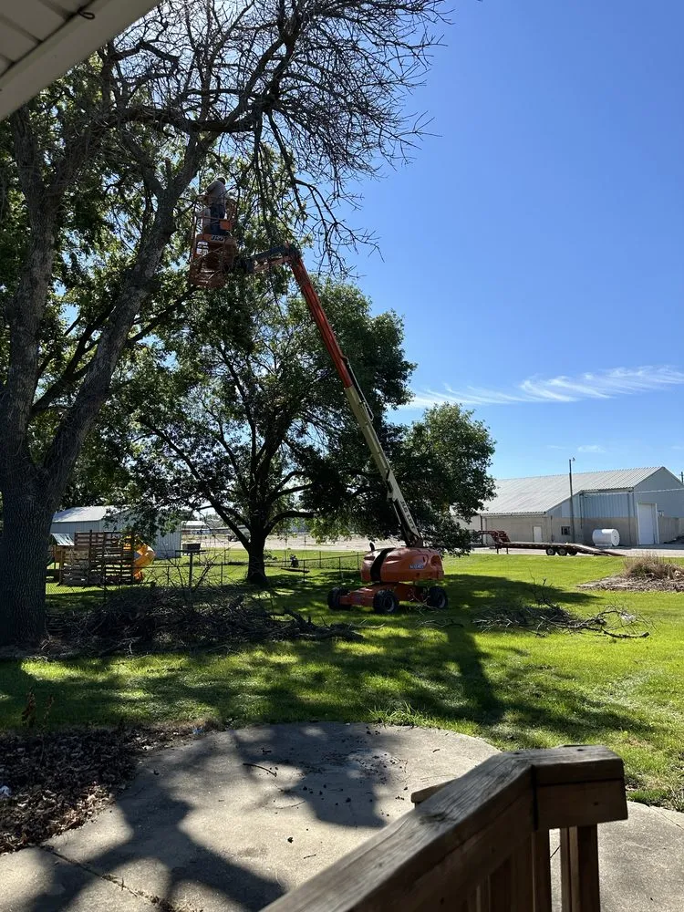 Top-rated landscape design in Newell, IA - Lavish Landscape