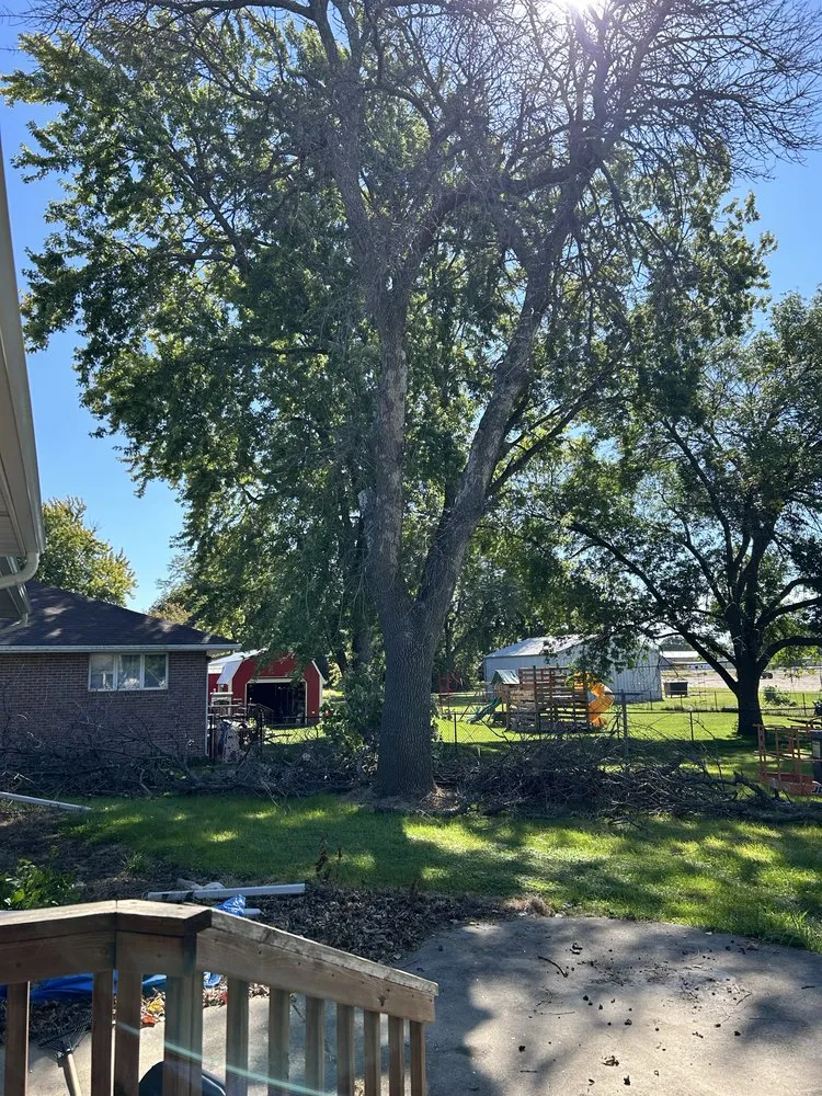 Local lawn care service in Newell, IA by Lavish Landscape