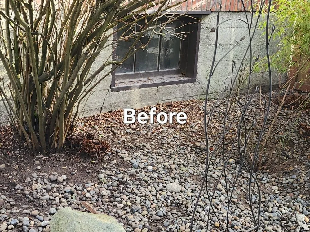 Local lawn care service in Tacoma, WA by Lavish landscape