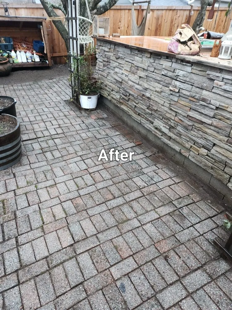 Local landscape design in Tacoma, WA - Lavish landscape