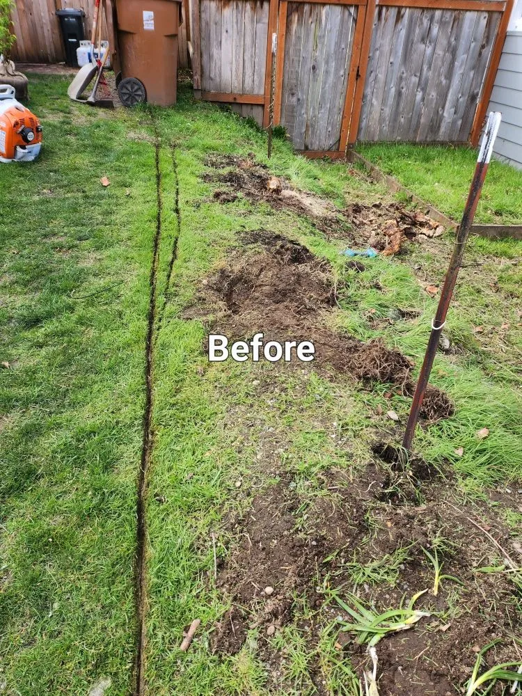 Reliable outdoor landscaping for beautiful yards across Tacoma, WA - Lavish landscape