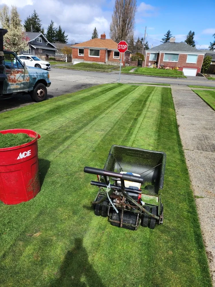 Local landscaping services for year-round maintenance in Tacoma, WA by Lavish landscape