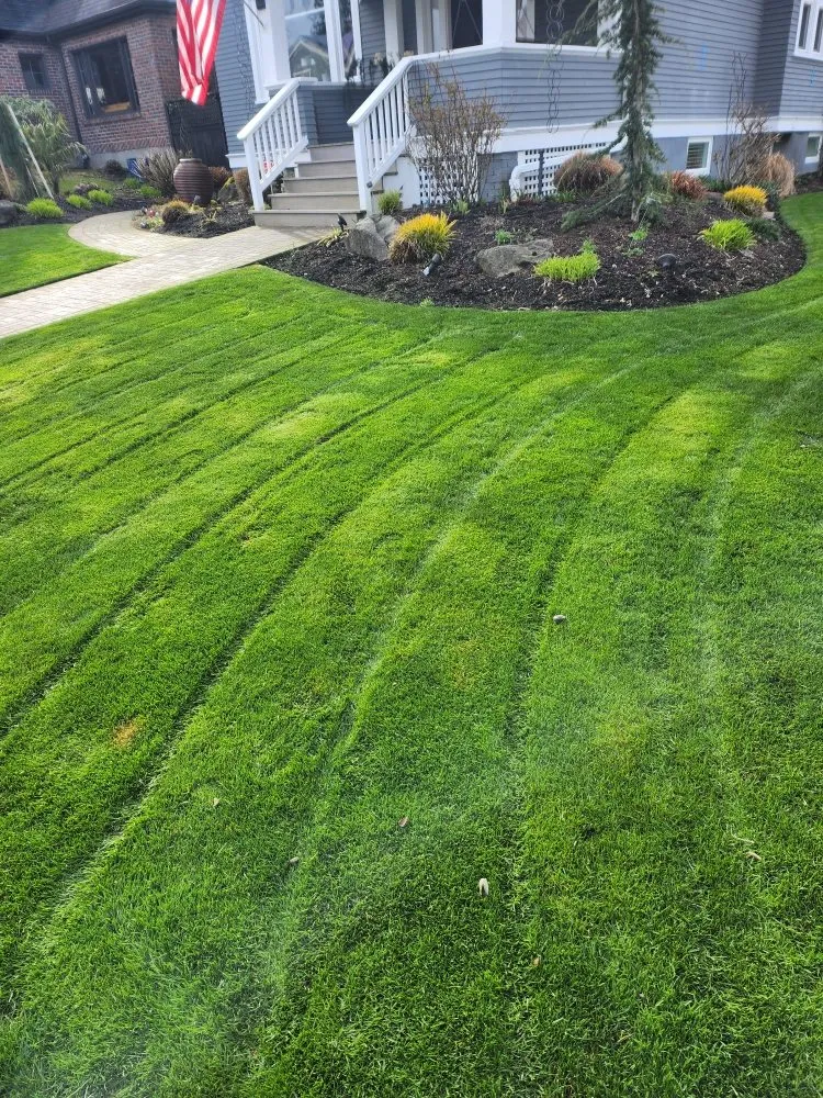 Trusted residential landscaping experts serving Tacoma, WA - Lavish landscape