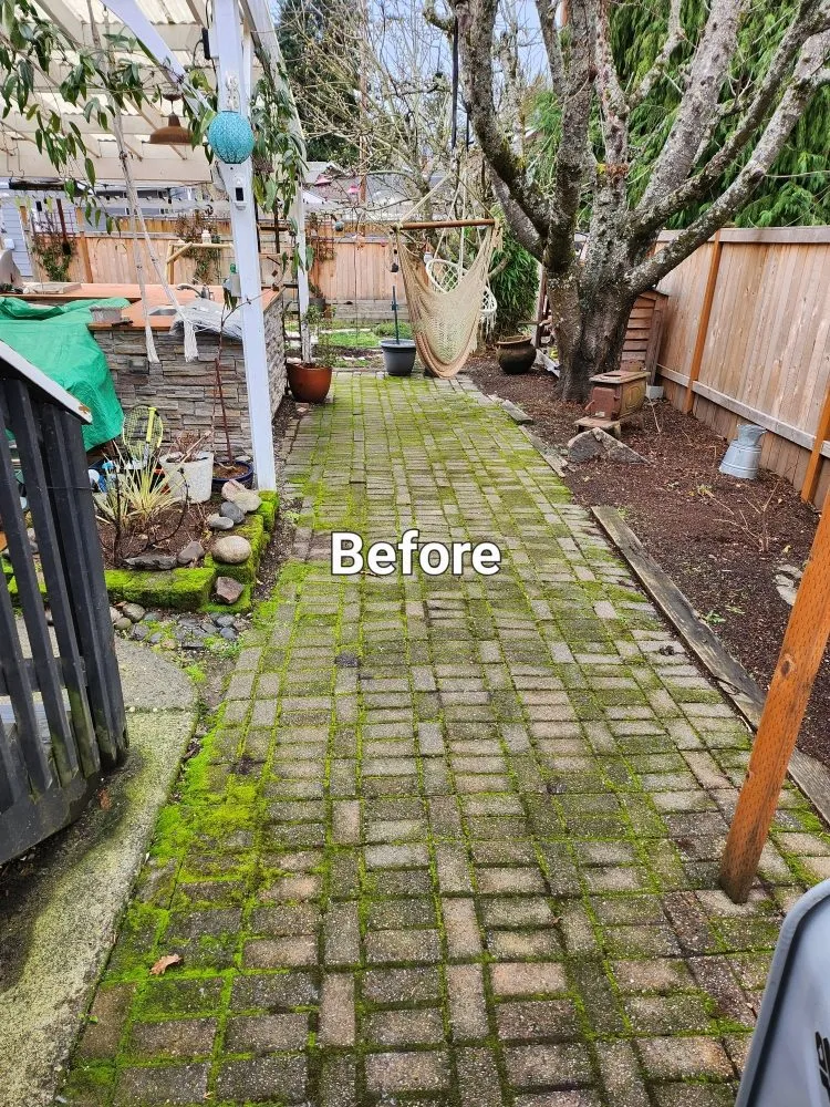 Custom yard maintenance experts serving Tacoma, WA - Lavish landscape
