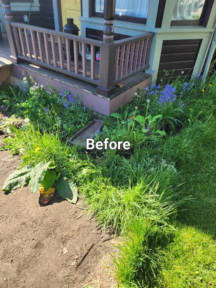 Professional lawn mowing service in Tacoma, WA - Lavish landscape