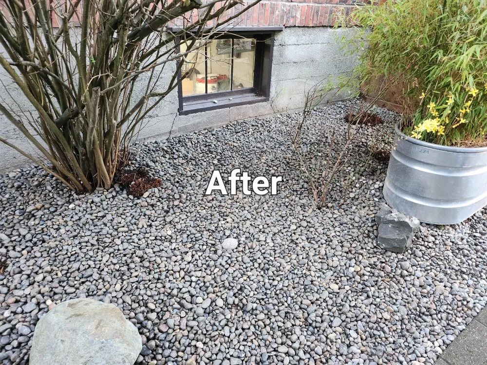 Professional yard cleanup service for beautiful yards in Tacoma, WA by Lavish landscape