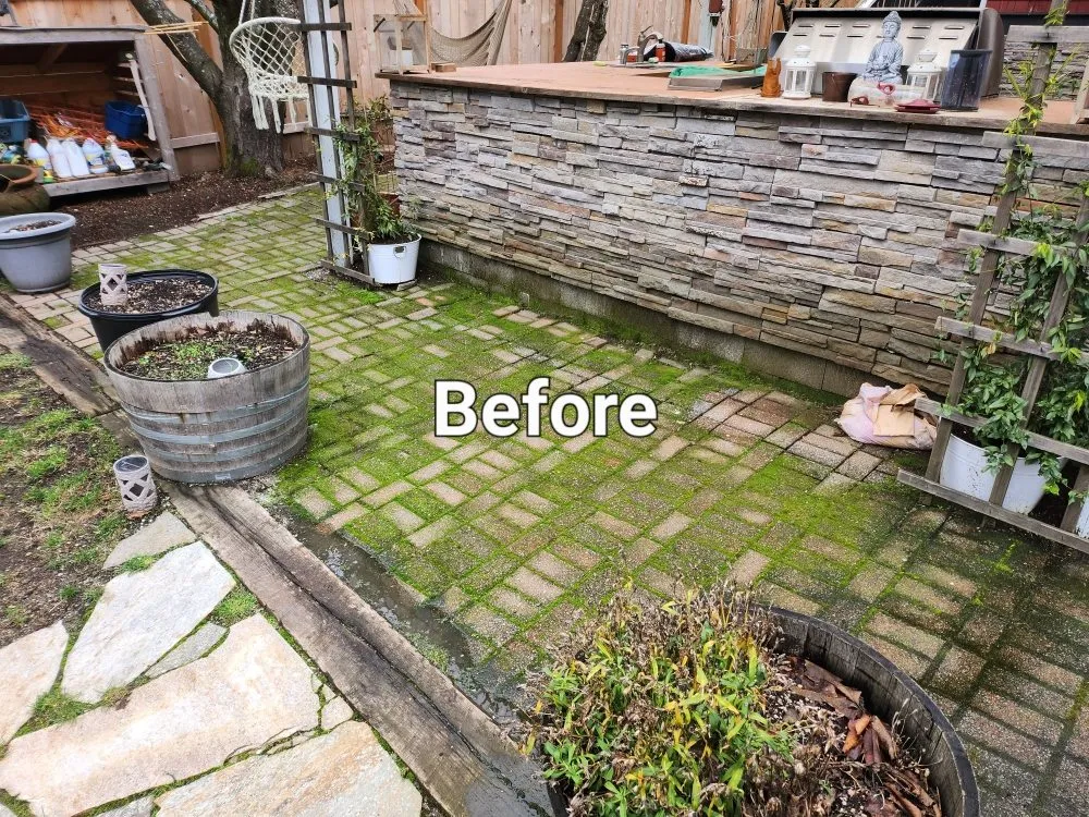 Expert lawn mowing service for year-round maintenance in Tacoma, WA by Lavish landscape