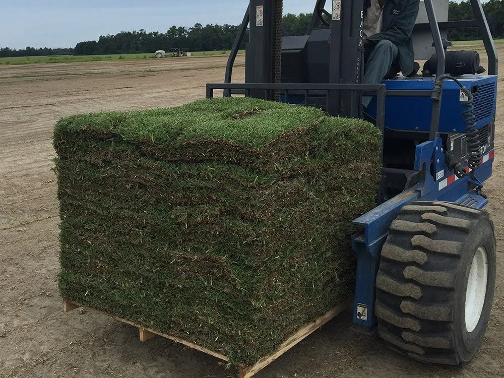 Custom yard maintenance in Maxwell, TX - Lavish Landscapers