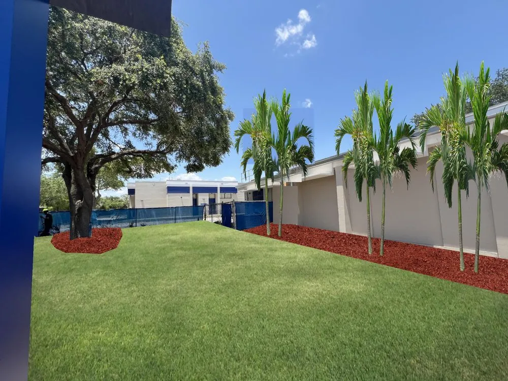 Trusted yard cleanup service experts serving Clearwater, FL - Lavish Landscapes