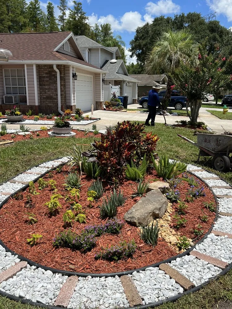 Trusted landscaping services for year-round maintenance across Clearwater, FL - Lavish Landscapes