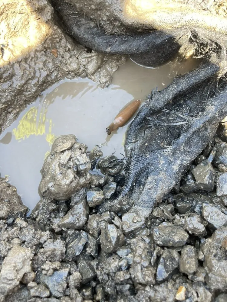 Expert outdoor landscaping near you in Nampa, ID by Lavish Landscapes