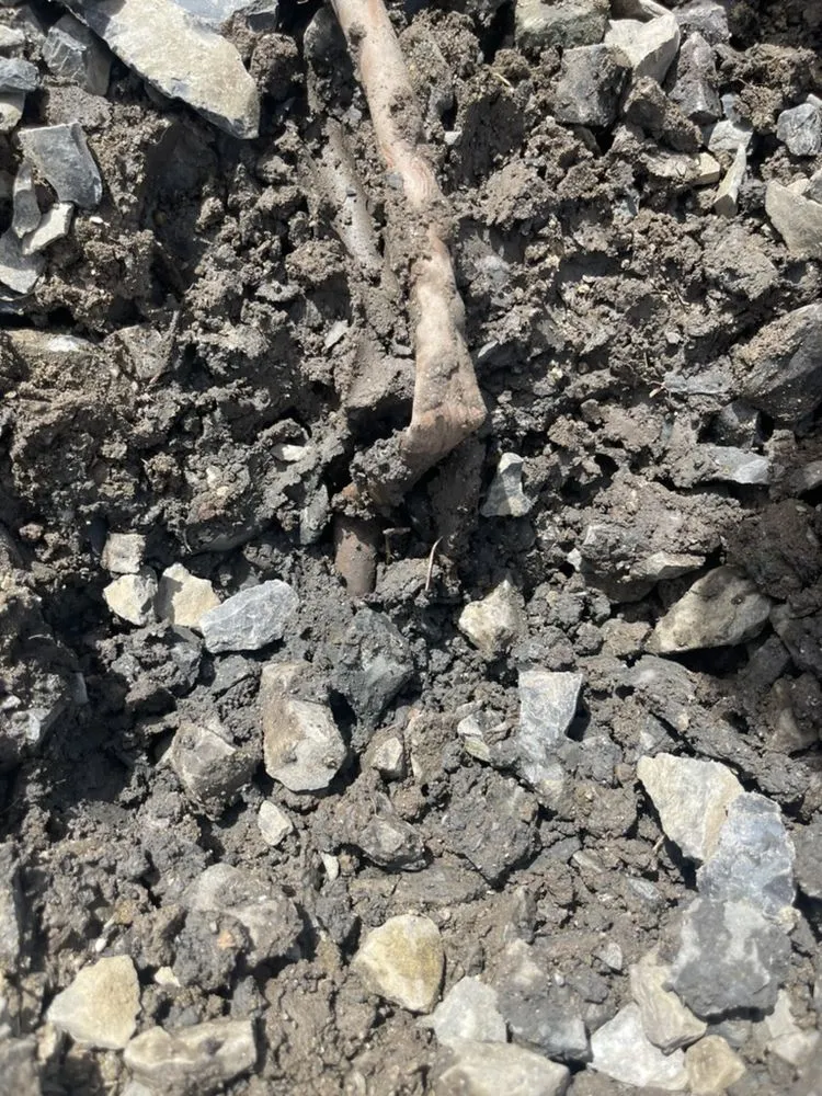 Top-rated landscape design in Nampa, ID - Lavish Landscapes